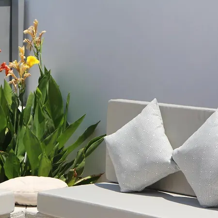 Chill And Thrill מסטיכרי